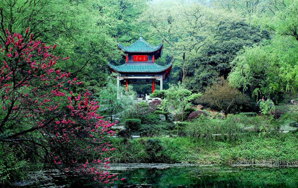 岳麓山|爱晚亭 岳麓山|爱晚亭